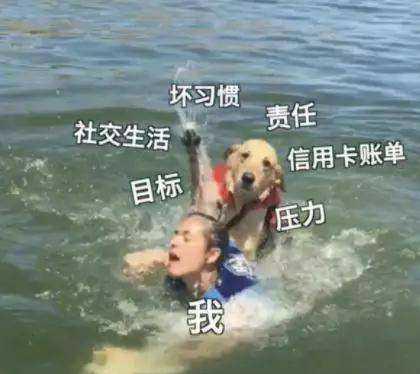 救命啊！这次是真的~~我家狗子要谋杀我