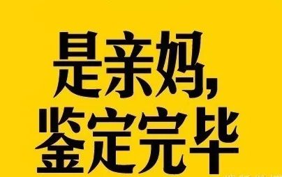 柯基妈妈翻垃圾桶，主人看到一片狼藉，最后找到罪魁祸首