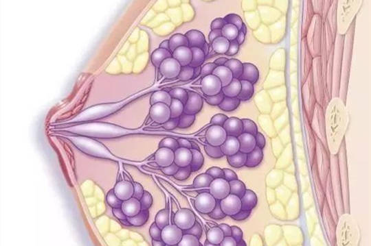 乳腺导管扩张是怎么回事？乳腺专家王劲告诉你！