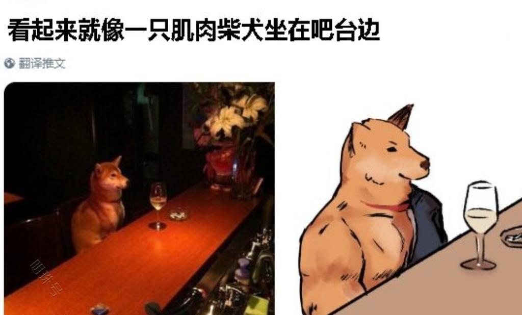 动物界的肌肉型大佬