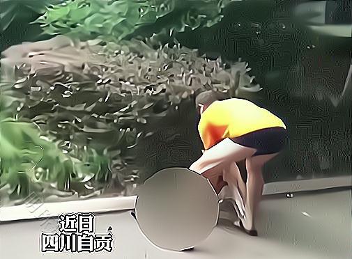 流浪猫被柴犬咬死，主人却不为所动，路人听到借口都无语了