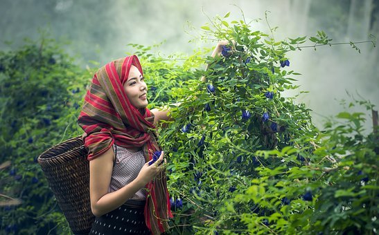 借了钱，一定要按约定时间还钱