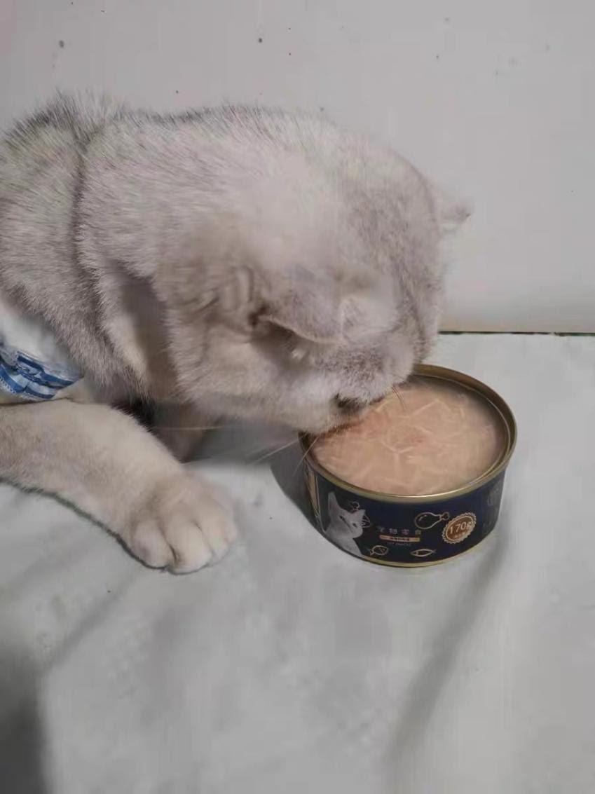 给猫买什么零食比较好，2021最受欢迎的猫零食推荐