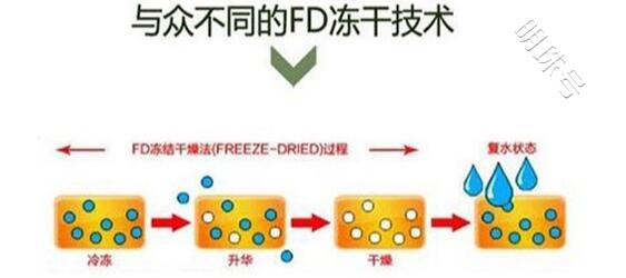 液体的冻干是怎么进行的