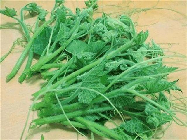 南瓜尖的营养价值低，多吃这道菜，轻松瘦下来
