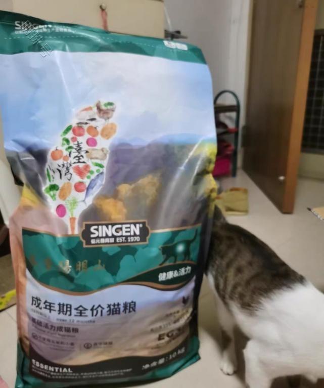 双十一猫粮哪个牌子好？