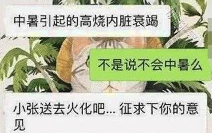 主人出差前将狗狗交给宠物医院，回来再见时，已是阴阳两隔！