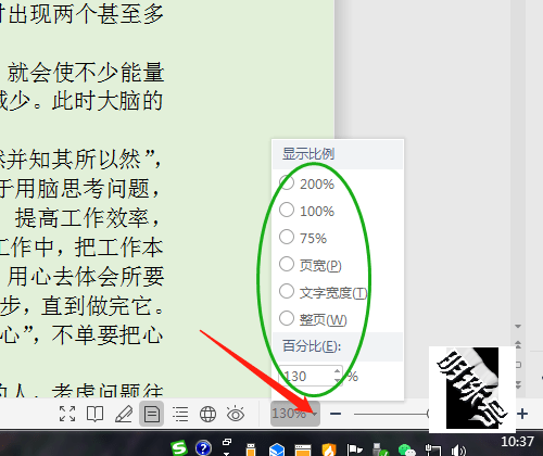 软件默认的页面比例是100%，怎样调整？