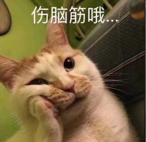 哈士奇看到橘猫的脑袋，动起了歪心思：我亲一个没关系吧