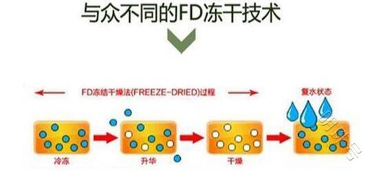 关于冷冻干燥机的冻干技术借鉴