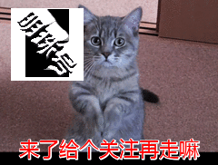 猫咪总是喵喵叫，是肚子饿了吗？明明碗里还有猫粮！