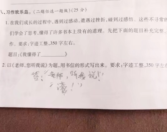 小学生的搞笑作业，老师看了都头疼，网友：这才是真正的才华