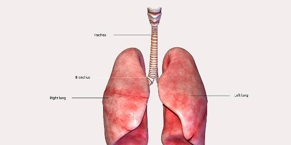 女性肺不好，还伴随着多种不良表现，应该尽早就医