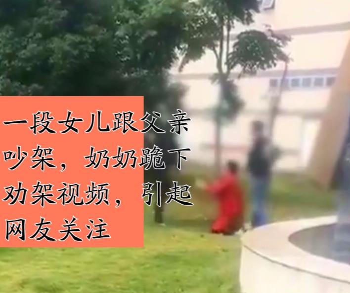 父女打架，女儿被父亲激怒，奶奶下跪求少女不要再动手