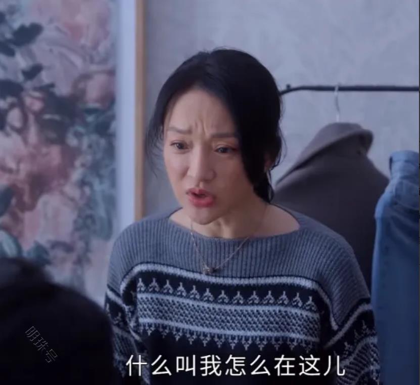 《小敏家》：刘小敏离婚后的资本，成了她再爱的底气！