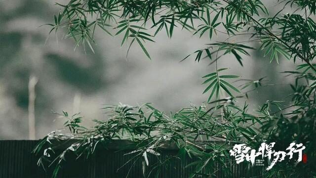 《雪中悍刀行》：徐凤年与老黄结伴三年闯荡江湖