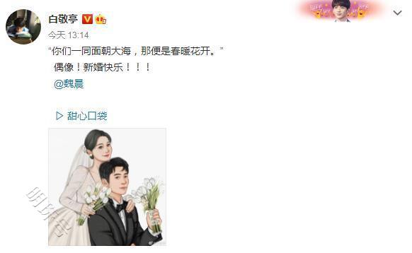 魏晨于玮携手步入婚姻殿堂婚礼,现场照分享婚礼细节