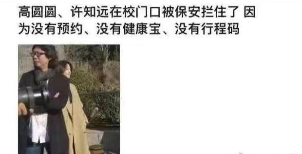 高圆圆被网友误认成网红，气质优雅甜美可人