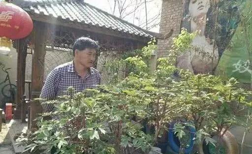 大衣哥家的“豪宅”有多“壕”？看完这篇文章你就明白了