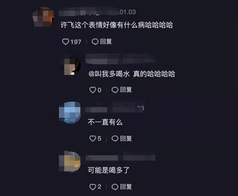 姚晨、许飞、庄达菲现身音乐节现场，网友调侃：许飞是不是喝多了