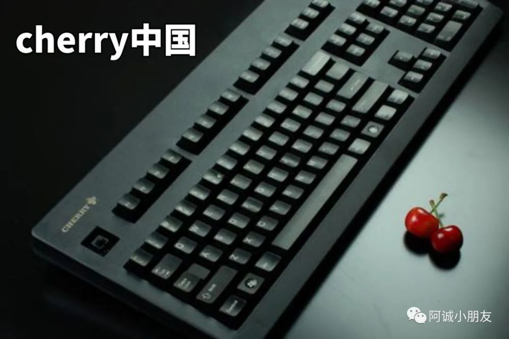 阴阳师：cherry中国终止联动活动，阴阳师玩家怒了