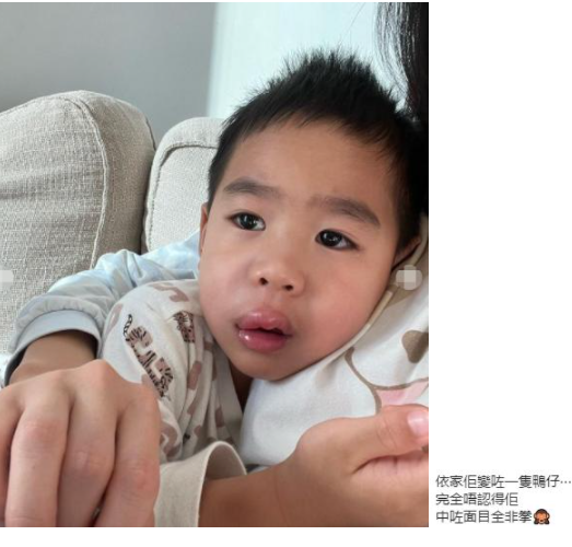 林芊妤带3岁儿子上急诊，小朋友细菌感染需要紧急治疗