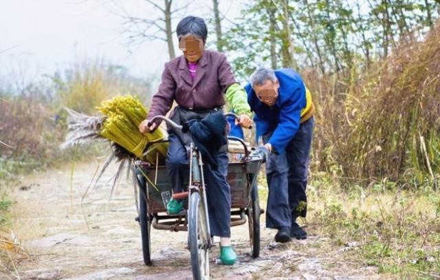 老婆进城送豆油，我怒提离婚