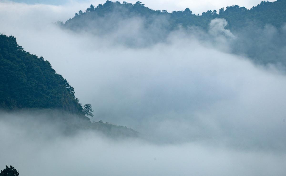 庄子：人有八病八患，事有四患，需要好好检查