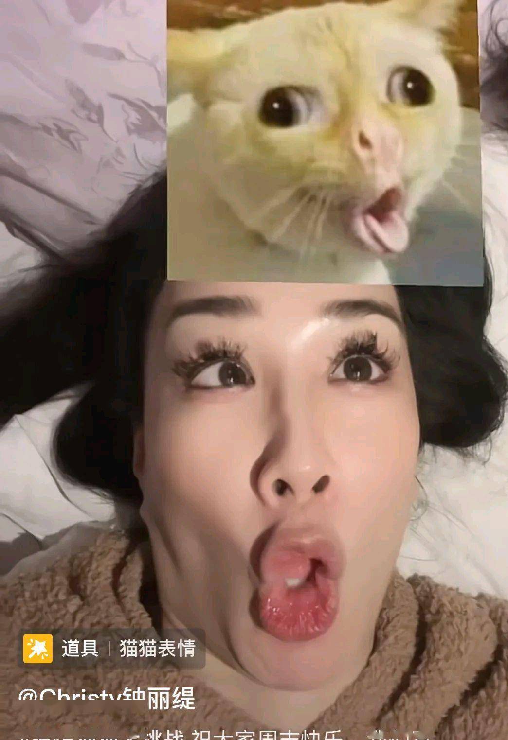 钟丽缇和张伦硕合拍搞笑视频，躺床上卖力模仿猫咪表情包
