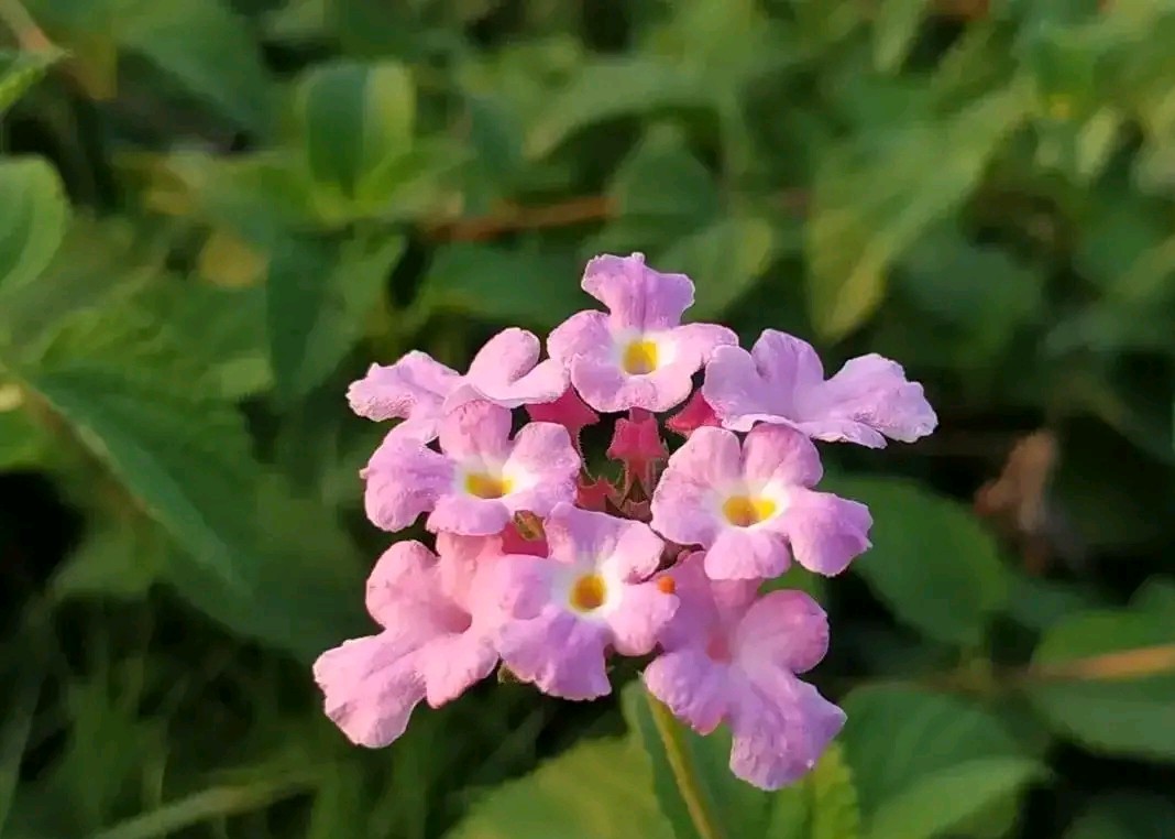 住家保姆要求我给她加薪水，我该怎么办？