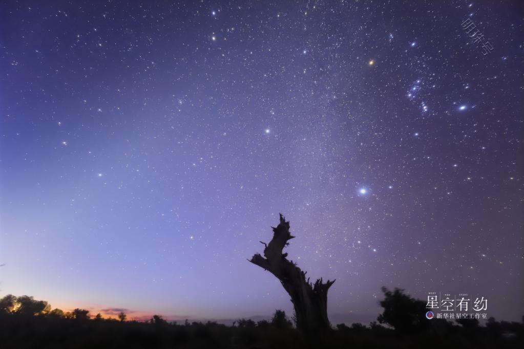 除夕之夜，如何寻找猎户三星？