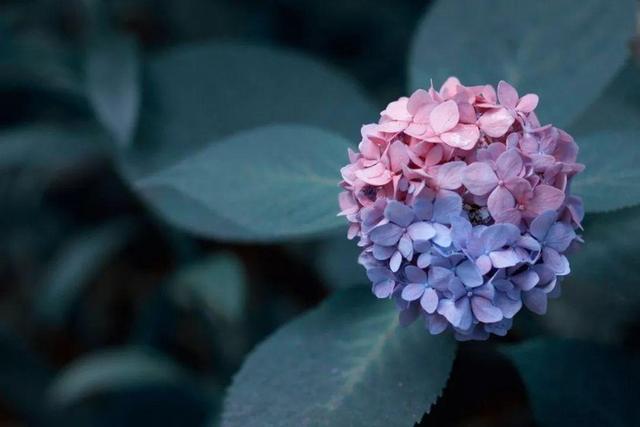 人到中年，别把钱花在“烂人”身上