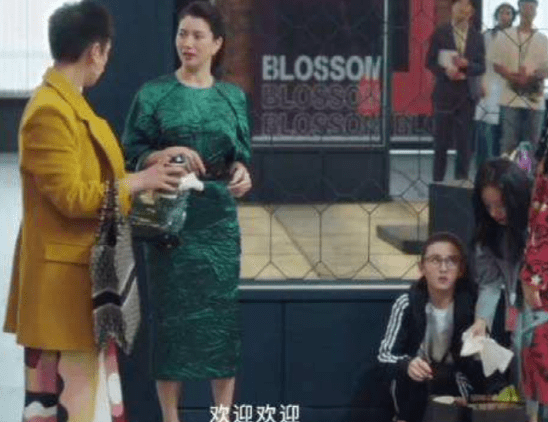 袁咏仪出演《盛装》口碑不如小宋佳，网友：一胖毁所有