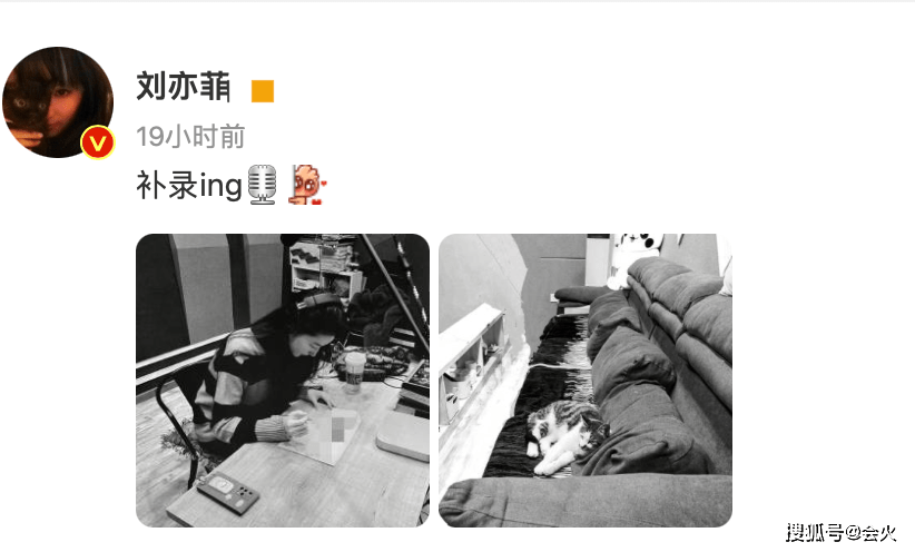刘亦菲分享录音室工作照，黑白相间的猫咪简直要和沙发融为一体