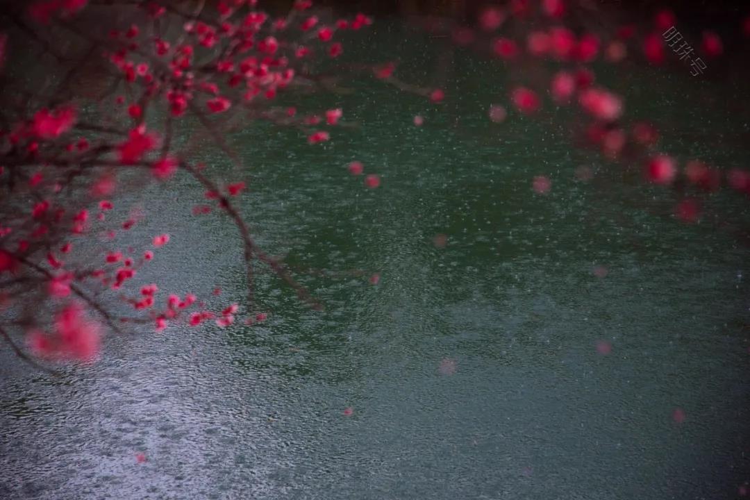 烟雨深处的人