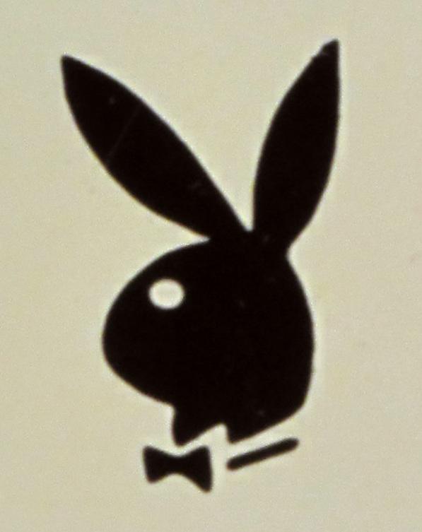 《飞机上子的秘密》花花公子正在推出兔子标志