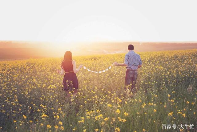 婚姻不幸福，几乎都是“萝卜和坑”的逻辑