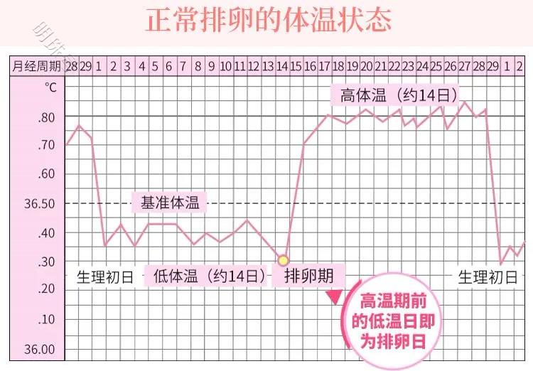 如何判断是否排卵？排卵期有几天？