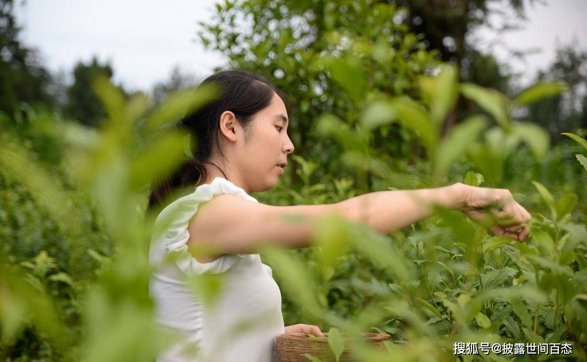 父亲说：女儿单身一辈子，也绝对不能嫁这三种男人