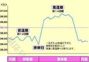 关于“卵泡发育”大家问的最多的5个问题，答案都在这里了！