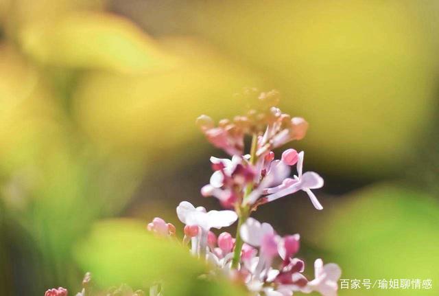 如果一个人愿意在深夜陪你聊天，倾听你的烦恼，那说明你很重要