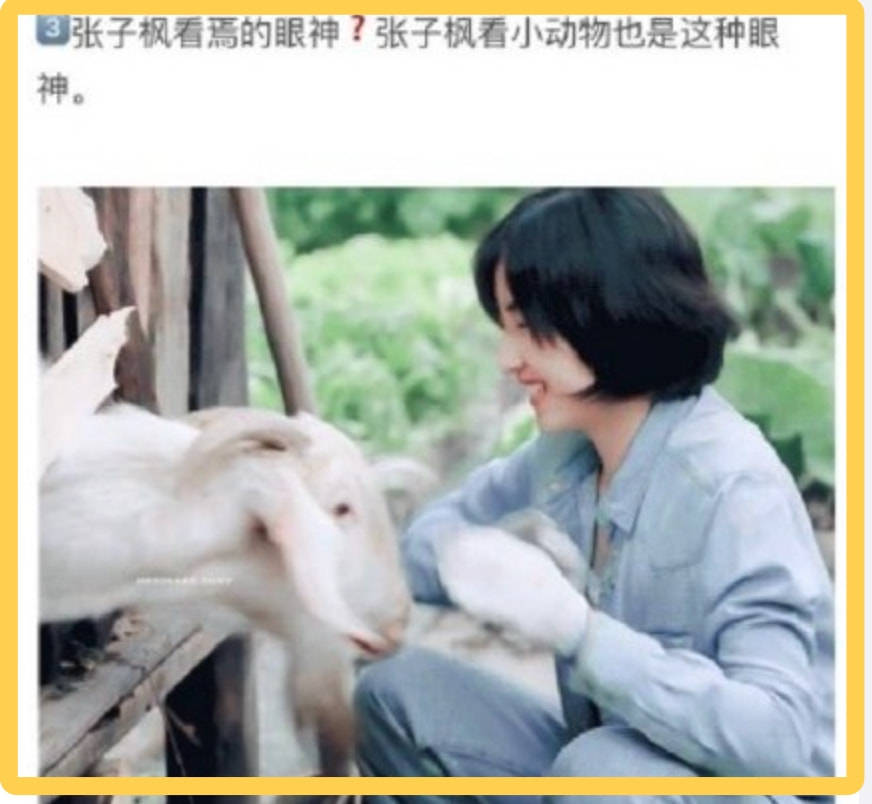 张子枫焉栩嘉疑似恋情曝光，网友：看羊都是这个眼神