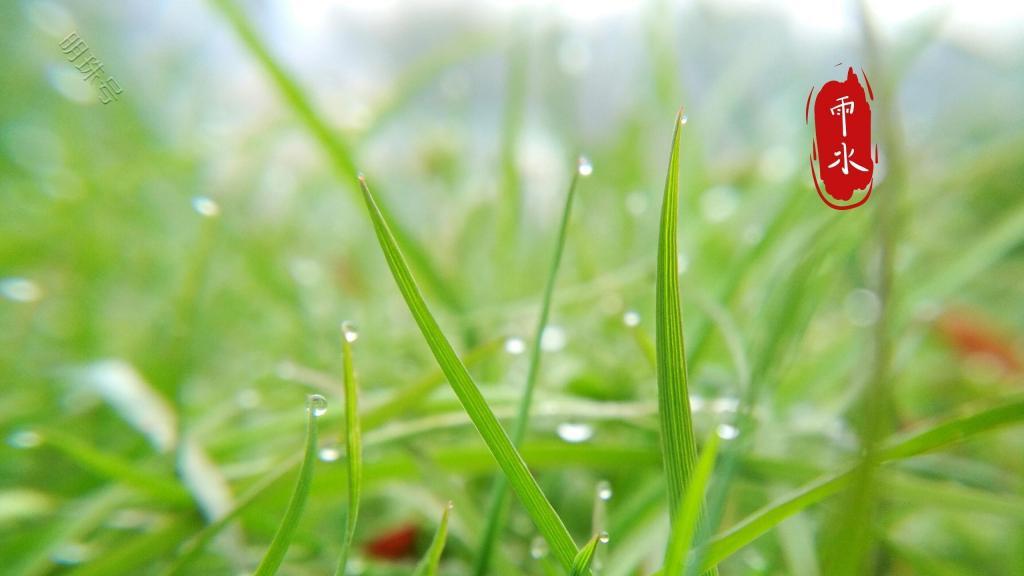 想念雨水的气味