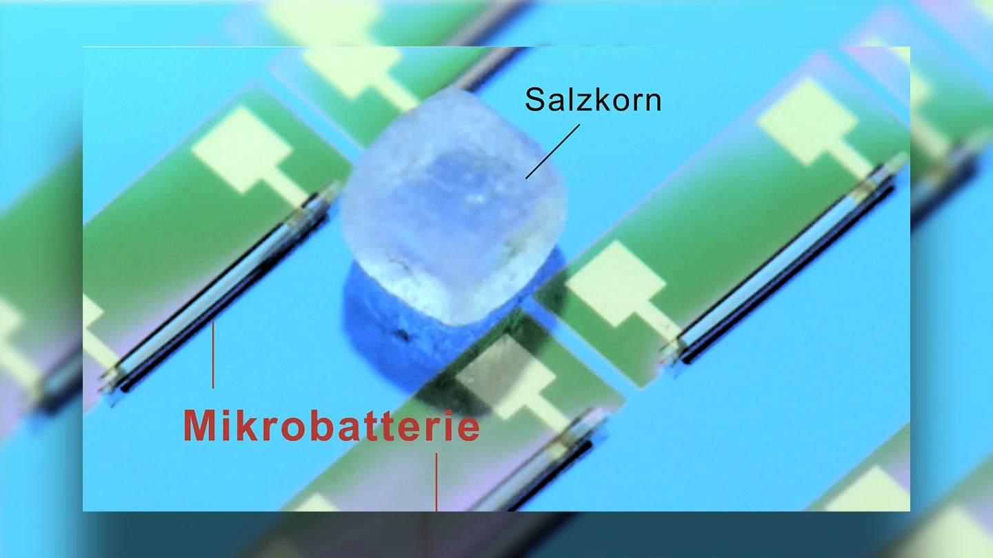 克姆尼茨理工大学研发出全球最小电池