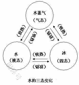 真空冷冻干燥机的起源和原理