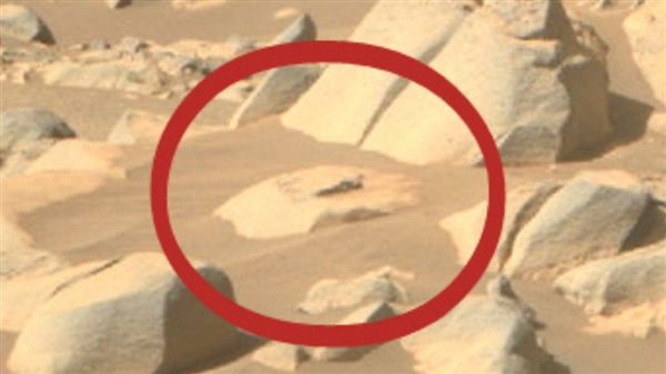 火星上有生命吗？网站站长称找到了100%存在生命的“铁证”