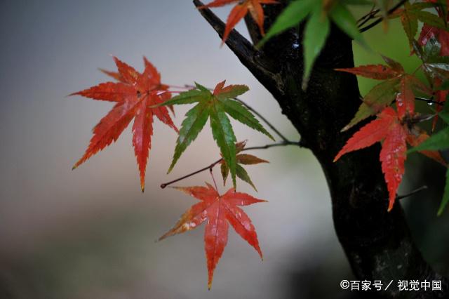 人过40岁，唯有将时间花在正确的圈子上