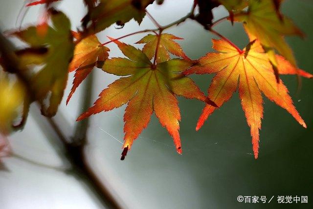 人过40岁，唯有将时间花在正确的圈子上