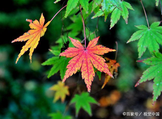 人过40岁，唯有将时间花在正确的圈子上