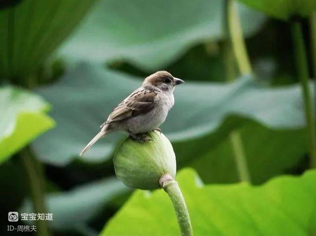 人品好，走到哪里都有人缘